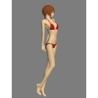 Figure_Swimsuit.zip